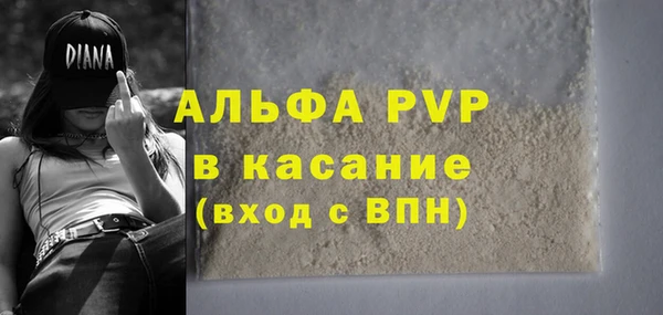 прущие грибы Абдулино