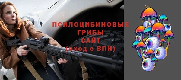 сатива Абинск