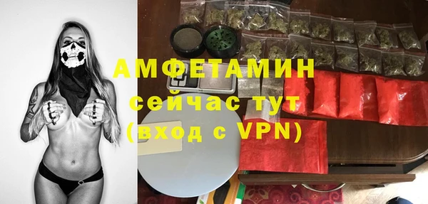 прущие грибы Россошь