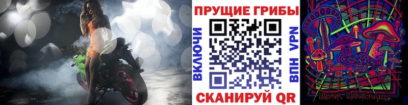 сколько стоит  Судогда  Галлюциногенные грибы Magic Shrooms 