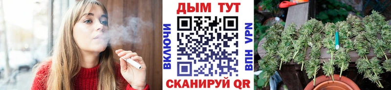 МАРИХУАНА SATIVA & INDICA  darknet состав  Судогда 